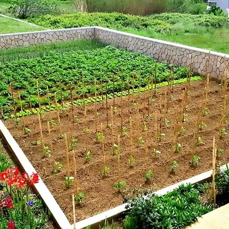 With Parking Space Rtina - Miocici, Zadar - 13072 *