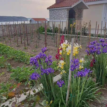 With Parking Space Rtina - Miocici, Zadar - 13072