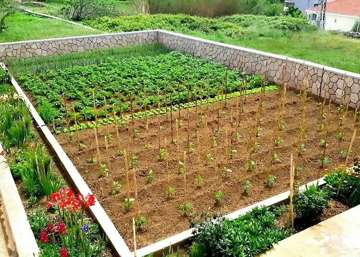 With Parking Space Rtina - Miocici, Zadar - 13072 *