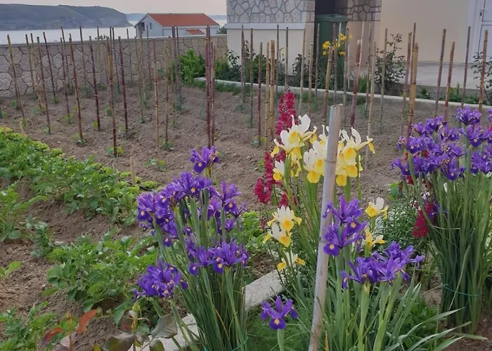 With Parking Space Rtina - Miocici, Zadar - 13072